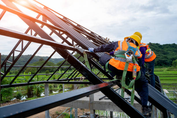 Best Metal Roofing Contractor  in Allardt, TN