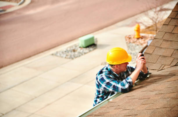 Best Roof Gutter Cleaning  in Allardt, TN
