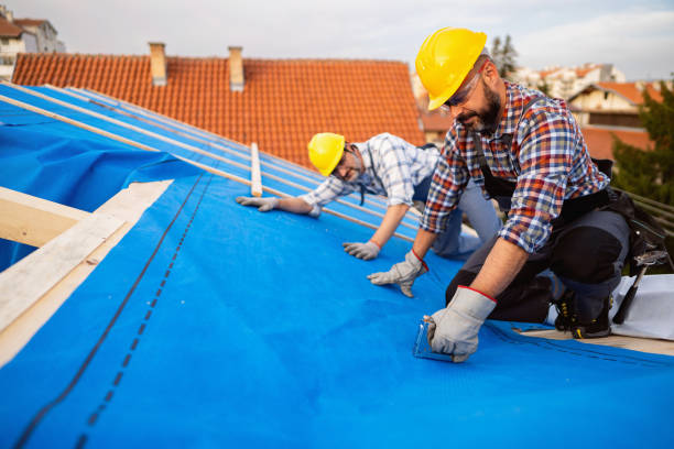 Best Residential Roofing Contractor  in Allardt, TN