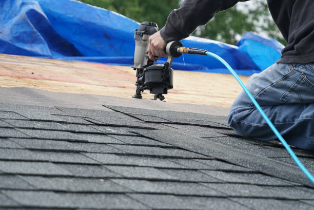 Professional Roofing Contractor in Allardt, TN