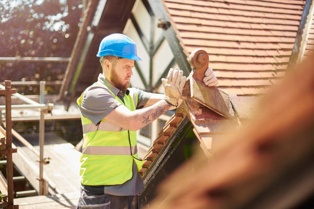 Best Storm Damage Roof Repair  in Allardt, TN