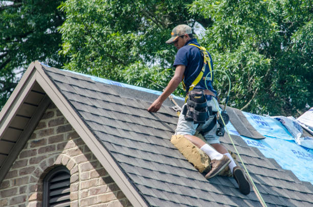 Quick and Trustworthy Emergency Roof Repair Services in Allardt, TN